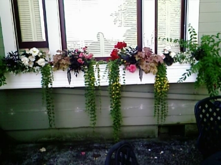 Portland window box