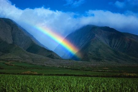 Maui Rainbow....Gotta Love those Rainbows