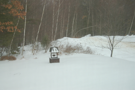 New Hampshire winter