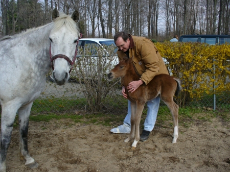 Fersaarah, Tequila & me