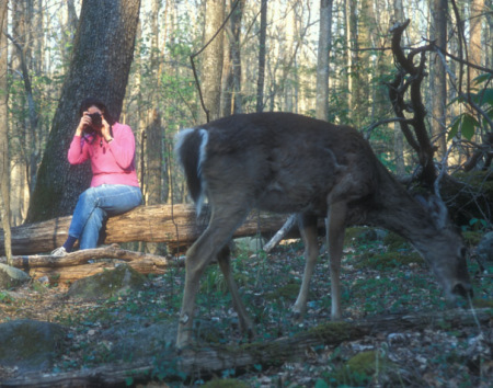 Marilyn shoots a buck