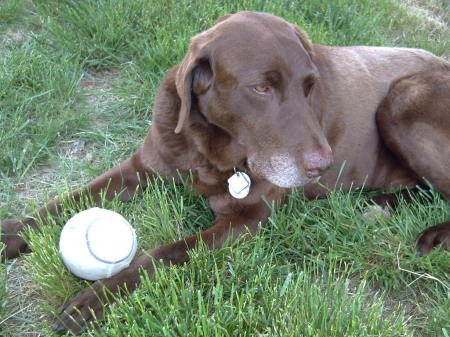 Tandem and football, May 2007