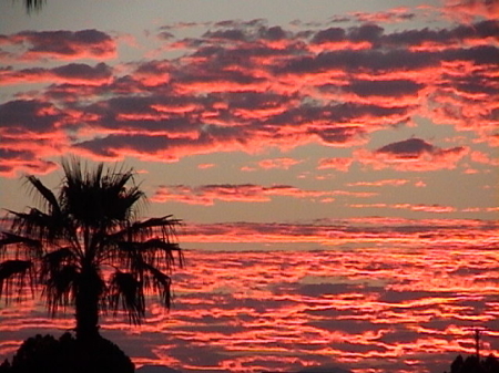 palm desert sunset 2001