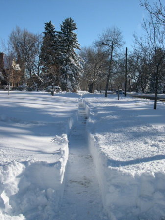 Winter Snow - Denver, Colorado