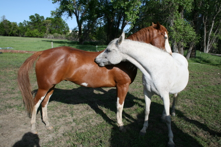 Boy and Shenna