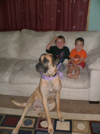 MY BOYS WITH OUR DOG "ROXY"