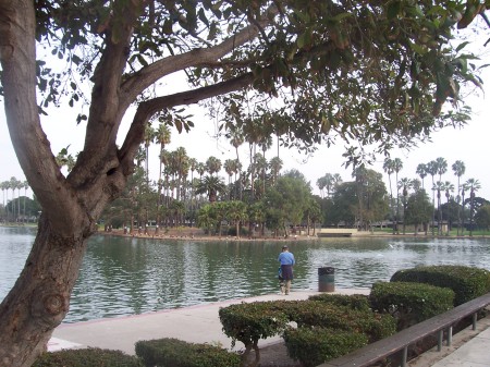 Alondra Park 2008