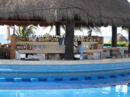 swim-up bar