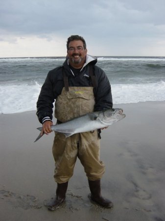 14lb Bluefish