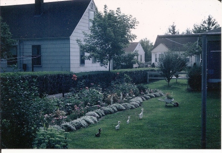 Grandma and Grandpa Charette's Garden