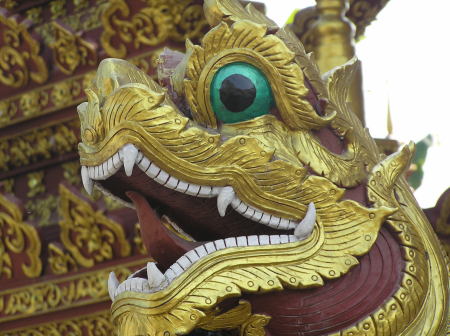 Dragon in Thailand