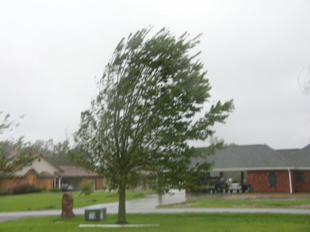 During Hurricane Gustav