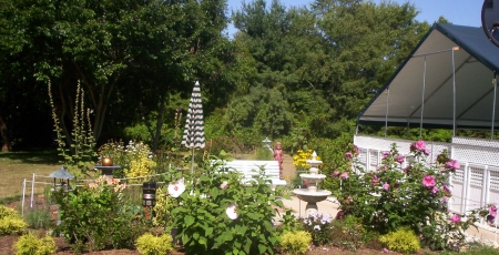 full view of sitting garden