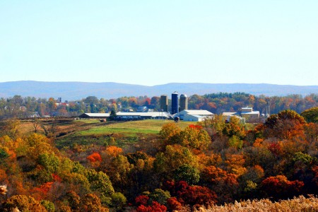 A West Virginia Farm
