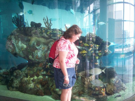 Checking out the fish at the SC Aquarium