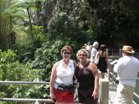 Puerto Rico Rain Forest