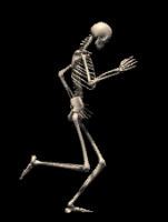 Walking Skeleton