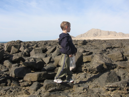 My son Nic collecting shells