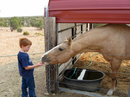 Grandson-Wyatt w/his horse-Skippy