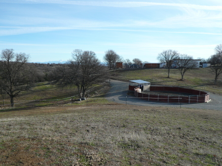 Crow Tree Ranch