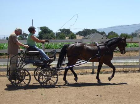 My horse , a friend & me