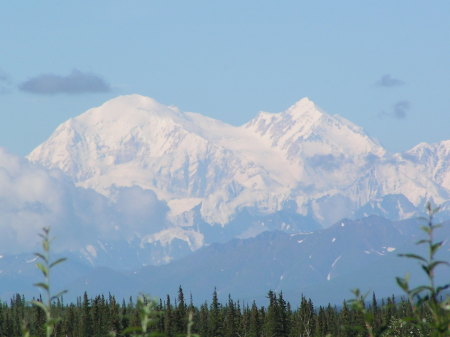   "DENALI"  (THE GREAT ONE)