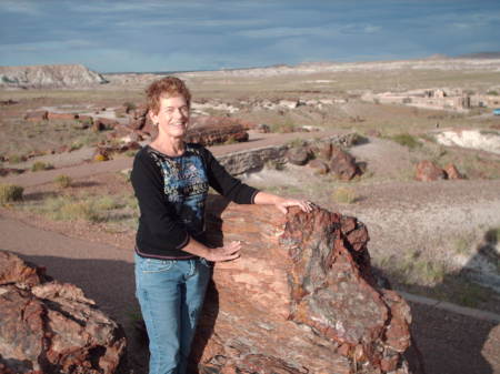 Petrified Forest