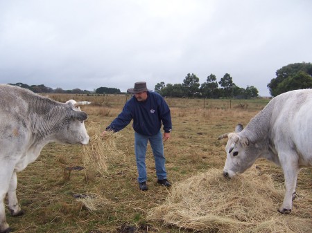 On a friends Aussie farm