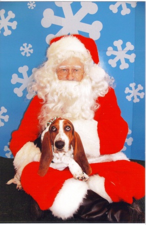 Season's Greetings from the worlds most spoiled basset hound.