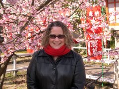 Cherry Blossems in Kyoto