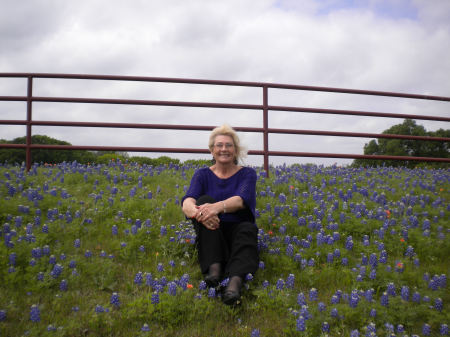 Linda Weldon's album, Bluebonnets in Texas