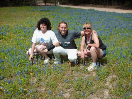 More Bluebonnets