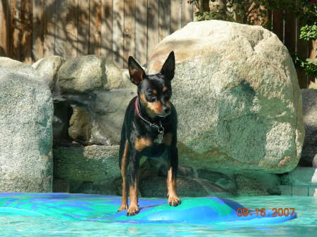 If not for him I'd turn the pool into a garden!