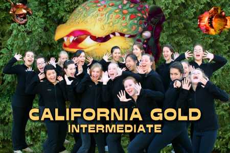 California Gold Team
