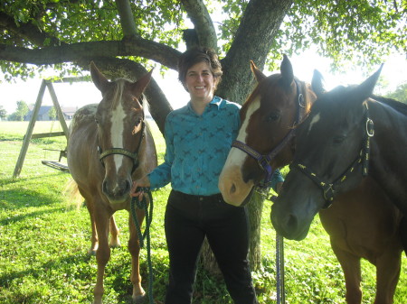 My horses