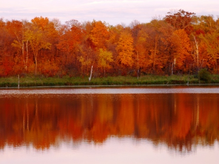 Erskine, MN, Fall color pond