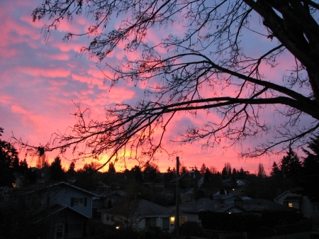 seattle sunrise from my porch