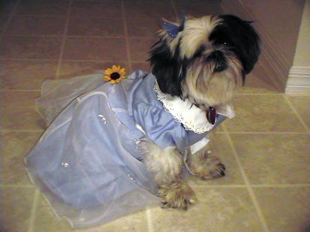 Delila in her flower girl dress