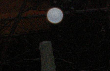 Orb. Closer view. My back-yard.