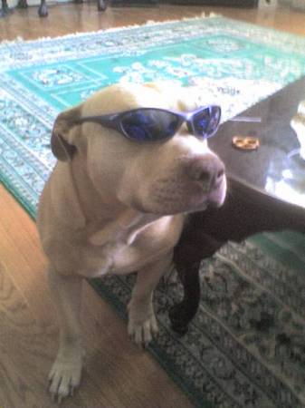 Jack Cool........."What's up DAAAAWG"?