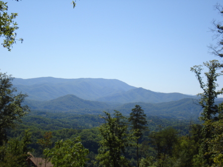View from the cabin's deck