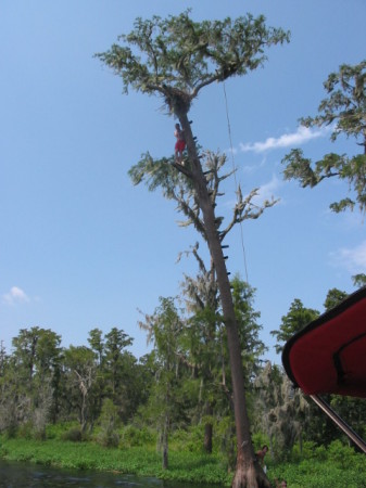 Eagle Nest Jump