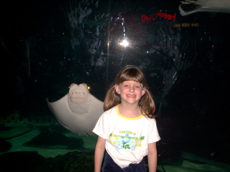 Autumn & a stingray