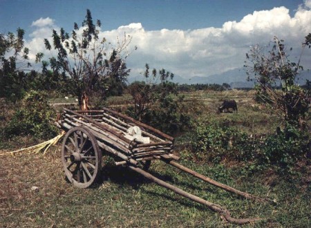 farm_scene