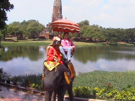 Riding an Elephant in Thailand