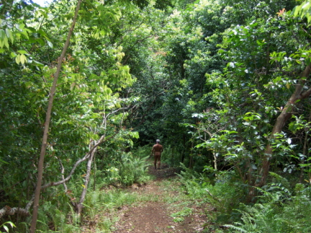 Maunalei Arboretum Trail