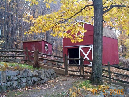 Fall shot of the barn
