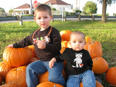My Lil' Pumpkins