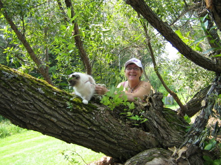 SYLVIA AND SING OUR OTHER BIRMAN CAT