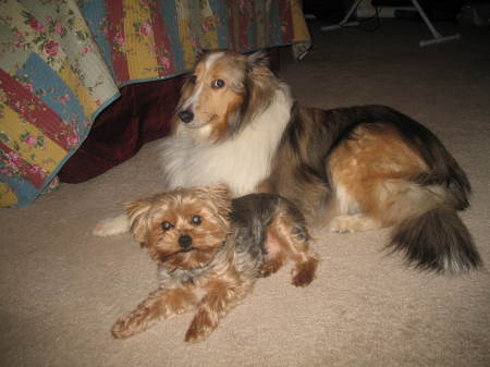 Cody and Baxter
